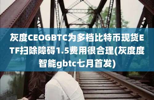 灰度CEOGBTC为多档比特币现货ETF扫除障碍1.5费用很合理(灰度度智能gbtc七月首发)