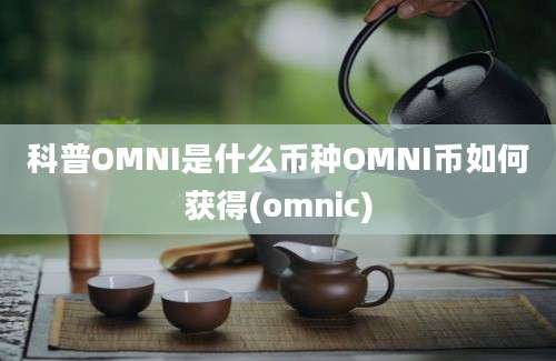 科普OMNI是什么币种OMNI币如何获得(omnic)