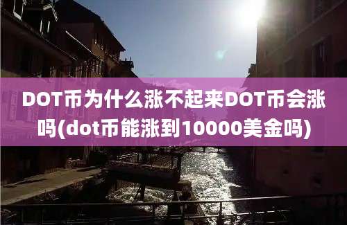 DOT币为什么涨不起来DOT币会涨吗(dot币能涨到10000美金吗)