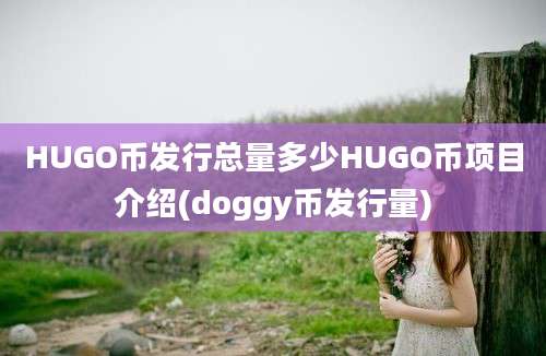 HUGO币发行总量多少HUGO币项目介绍(doggy币发行量)