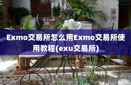 Exmo交易所怎么用Exmo交易所使用教程(exu交易所)