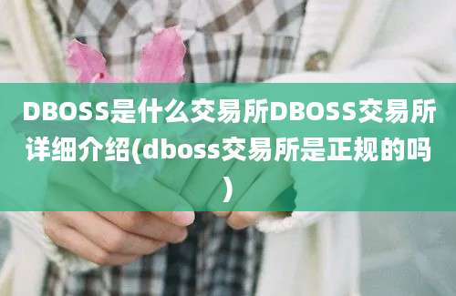 DBOSS是什么交易所DBOSS交易所详细介绍(dboss交易所是正规的吗)