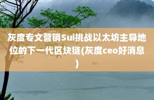 灰度专文营销Sui挑战以太坊主导地位的下一代区块链(灰度ceo好消息)