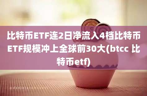 比特币ETF连2日净流入4档比特币ETF规模冲上全球前30大(btcc 比特币etf)