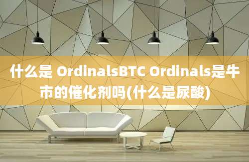 什么是 OrdinalsBTC Ordinals是牛市的催化剂吗(什么是尿酸)