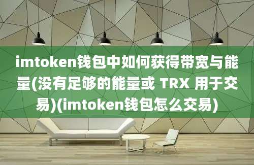 imtoken钱包中如何获得带宽与能量(没有足够的能量或 TRX 用于交易)(imtoken钱包怎么交易)