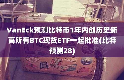 VanEck预测比特币1年内创历史新高所有BTC现货ETF一起批准(比特预测28)