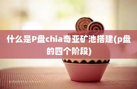 什么是P盘chia奇亚矿池搭建(p盘的四个阶段)