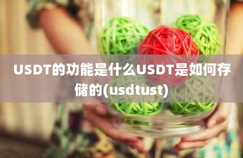 USDT的功能是什么USDT是如何存储的(usdtust)