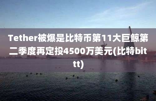 Tether被爆是比特币第11大巨鲸第二季度再定投4500万美元(比特bittt)