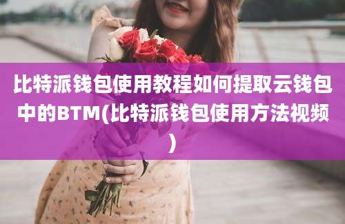 比特派钱包使用教程如何提取云钱包中的BTM(比特派钱包使用方法视频)