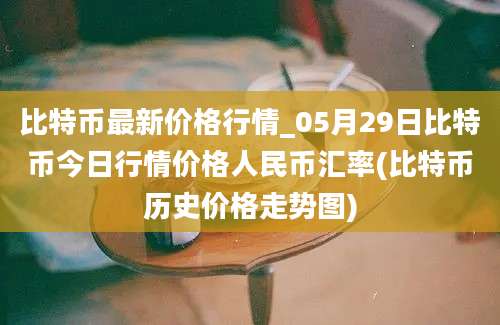 比特币最新价格行情_05月29日比特币今日行情价格人民币汇率(比特币历史价格走势图)