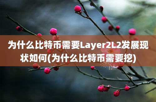 为什么比特币需要Layer2L2发展现状如何(为什么比特币需要挖)