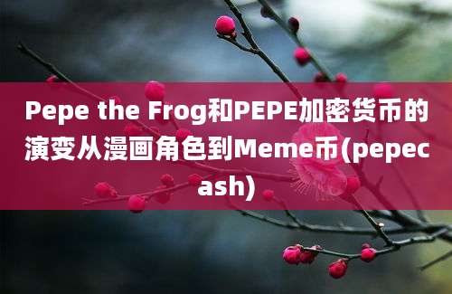 Pepe the Frog和PEPE加密货币的演变从漫画角色到Meme币(pepecash)