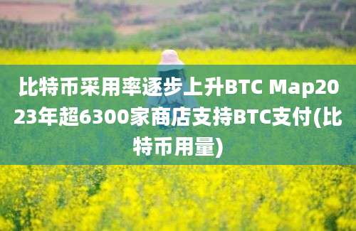 比特币采用率逐步上升BTC Map2023年超6300家商店支持BTC支付(比特币用量)