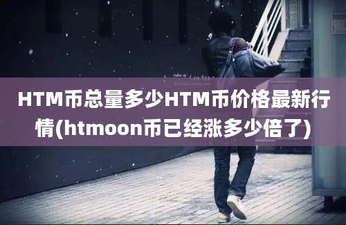 HTM币总量多少HTM币价格最新行情(htmoon币已经涨多少倍了)