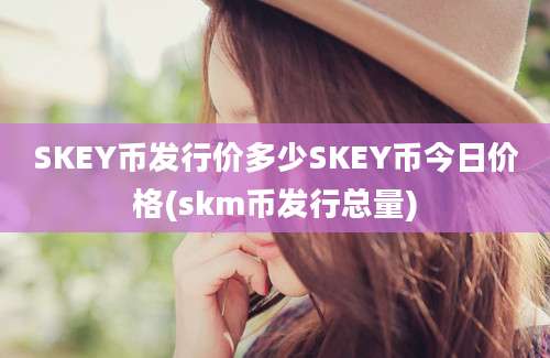 SKEY币发行价多少SKEY币今日价格(skm币发行总量)