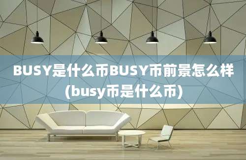 BUSY是什么币BUSY币前景怎么样(busy币是什么币)