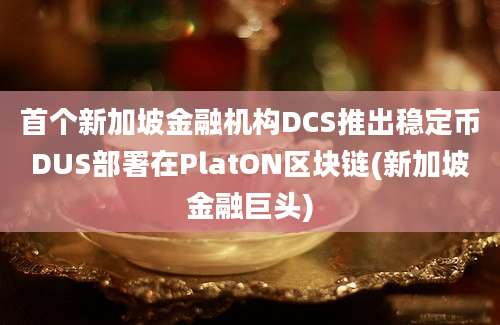 首个新加坡金融机构DCS推出稳定币DUS部署在PlatON区块链(新加坡金融巨头)