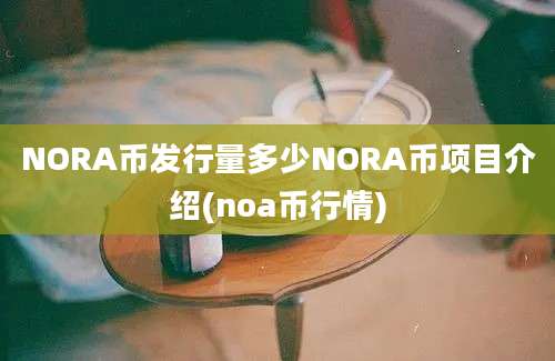 NORA币发行量多少NORA币项目介绍(noa币行情)