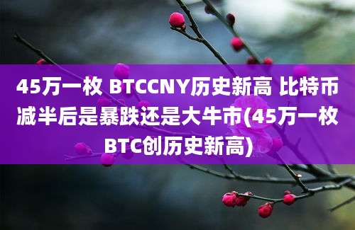 45万一枚 BTCCNY历史新高 比特币减半后是暴跌还是大牛市(45万一枚BTC创历史新高)