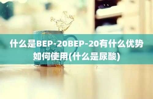 什么是BEP-20BEP-20有什么优势如何使用(什么是尿酸)