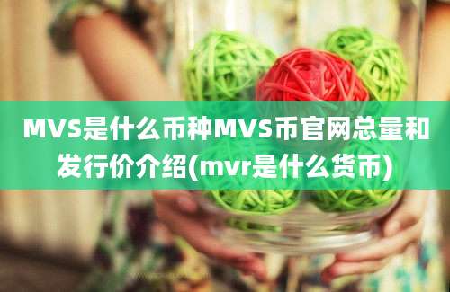 MVS是什么币种MVS币官网总量和发行价介绍(mvr是什么货币)