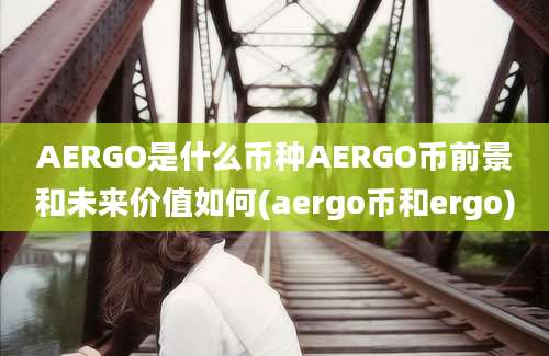 AERGO是什么币种AERGO币前景和未来价值如何(aergo币和ergo)