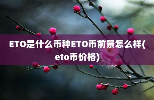 ETO是什么币种ETO币前景怎么样(eto币价格)