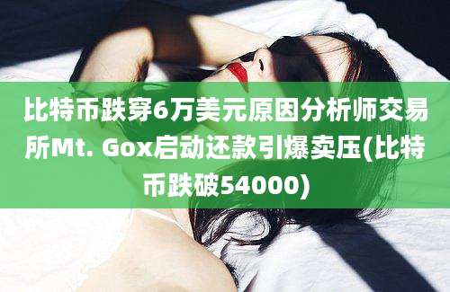 比特币跌穿6万美元原因分析师交易所Mt. Gox启动还款引爆卖压(比特币跌破54000)