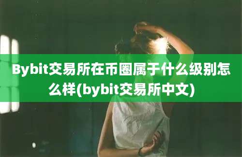 Bybit交易所在币圈属于什么级别怎么样(bybit交易所中文)