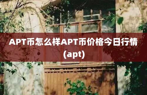 APT币怎么样APT币价格今日行情(apt)