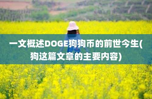 一文概述DOGE狗狗币的前世今生(狗这篇文章的主要内容)