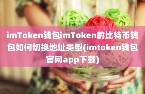 imToken钱包imToken的比特币钱包如何切换地址类型(imtoken钱包官网app下载)