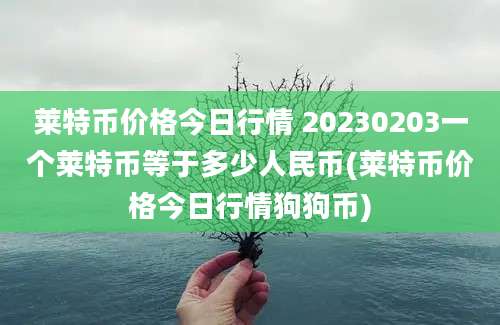 莱特币价格今日行情 20230203一个莱特币等于多少人民币(莱特币价格今日行情狗狗币)