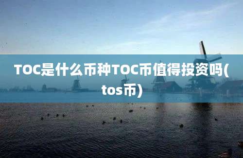 TOC是什么币种TOC币值得投资吗(tos币)