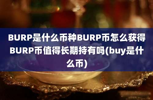 BURP是什么币种BURP币怎么获得BURP币值得长期持有吗(buy是什么币)