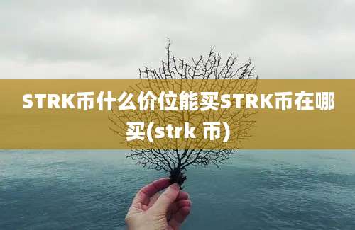 STRK币什么价位能买STRK币在哪买(strk 币)