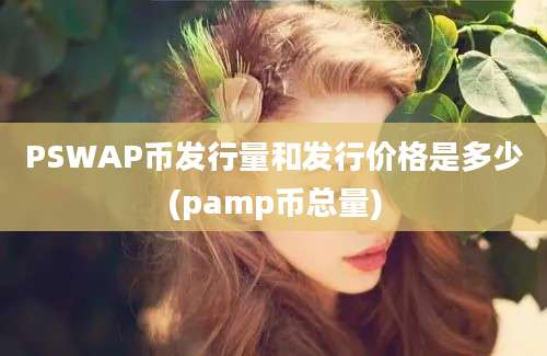 PSWAP币发行量和发行价格是多少(pamp币总量)