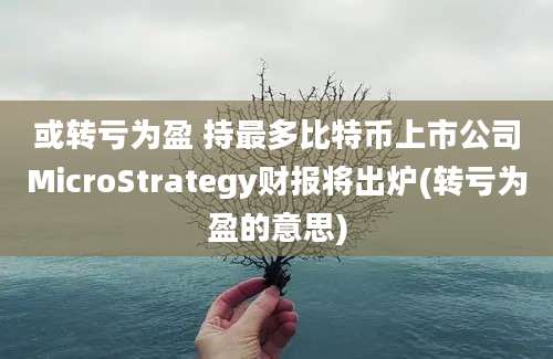 或转亏为盈 持最多比特币上市公司MicroStrategy财报将出炉(转亏为盈的意思)