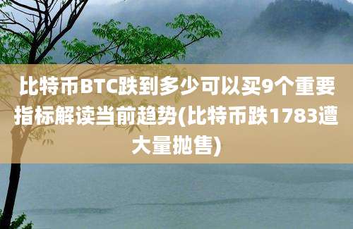 比特币BTC跌到多少可以买9个重要指标解读当前趋势(比特币跌1783遭大量抛售)