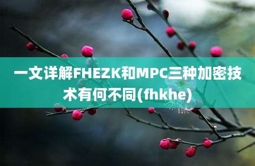 一文详解FHEZK和MPC三种加密技术有何不同(fhkhe)