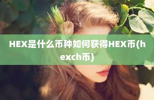 HEX是什么币种如何获得HEX币(hexch币)