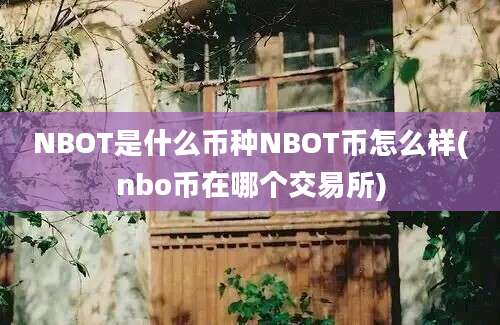 NBOT是什么币种NBOT币怎么样(nbo币在哪个交易所)