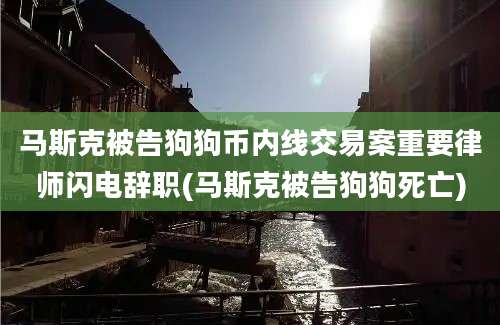 马斯克被告狗狗币内线交易案重要律师闪电辞职(马斯克被告狗狗死亡)