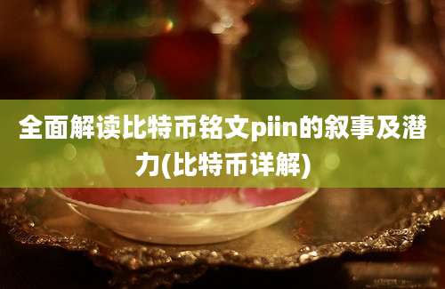 全面解读比特币铭文piin的叙事及潜力(比特币详解)