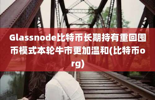 Glassnode比特币长期持有重回囤币模式本轮牛市更加温和(比特币org)