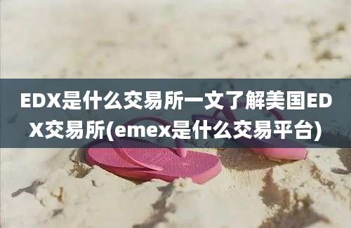 EDX是什么交易所一文了解美国EDX交易所(emex是什么交易平台)