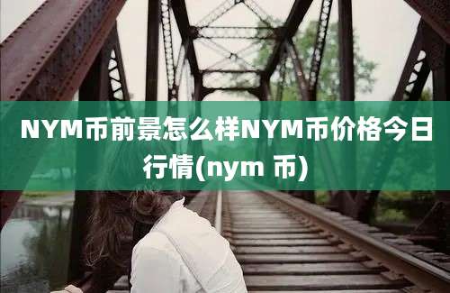 NYM币前景怎么样NYM币价格今日行情(nym 币)