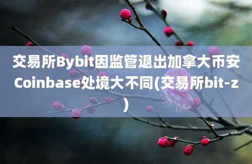 交易所Bybit因监管退出加拿大币安Coinbase处境大不同(交易所bit-z)